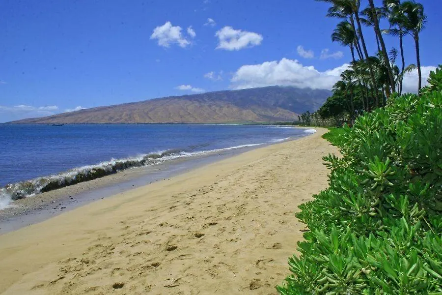 Kihei Beach, #203 Condo